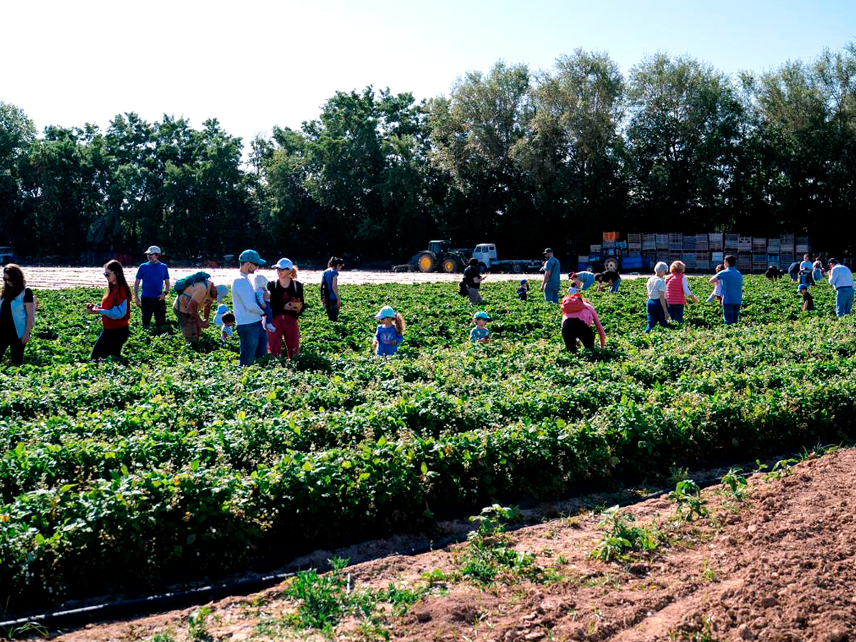 Agenda de actividades