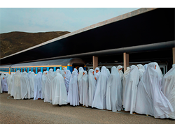 Majid Hojati, 'Whites Tent Station' - Accsit