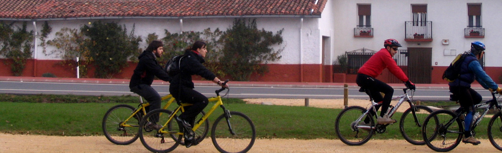 Subvencin movilidad