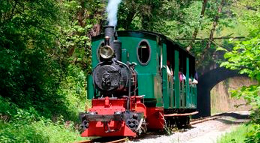 Celebradas las I Jornadas sobre los ferrocarriles histricos espaoles